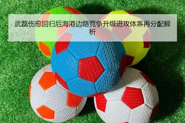 武磊伤愈回归后海港边路竞争升级进攻体系再分配解析（AOASPORTS）